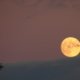 full moon