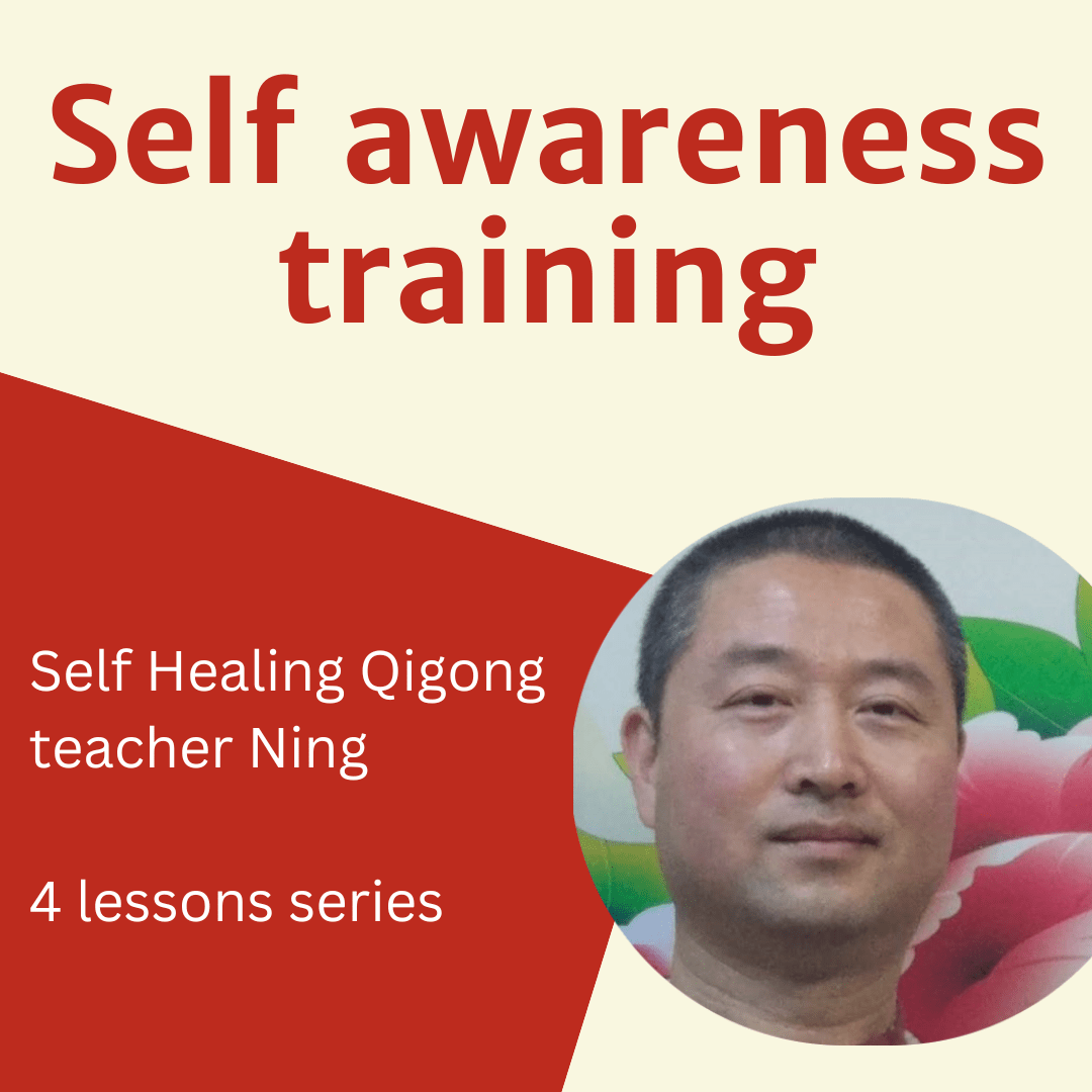 qigong self awareness training teacher Ning