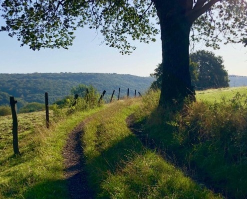 IMG_1138 Qigong retraite Belgische Ardennen