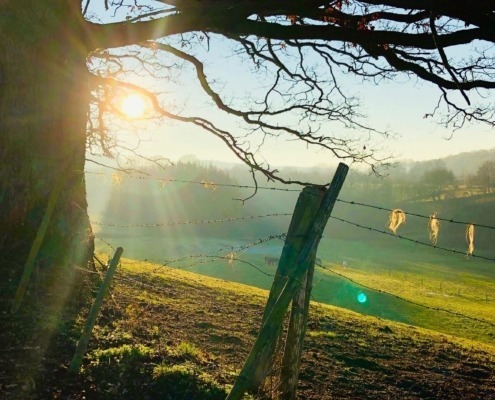 IMG_6369 Ashatum Amonines omgeving