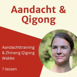 Aandachttraining en Qigong